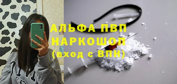 СК Алзамай