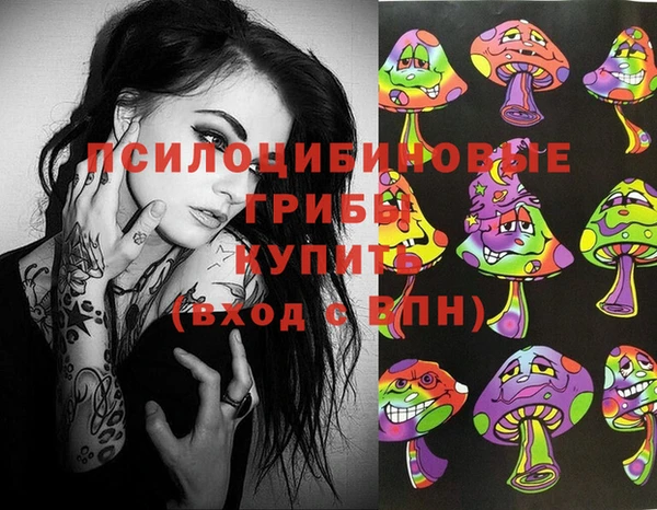 синтетический гашиш Алексин